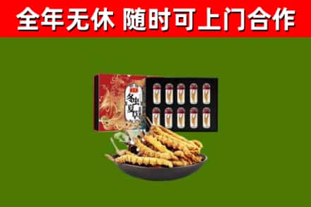 南部回收冬虫夏草价格